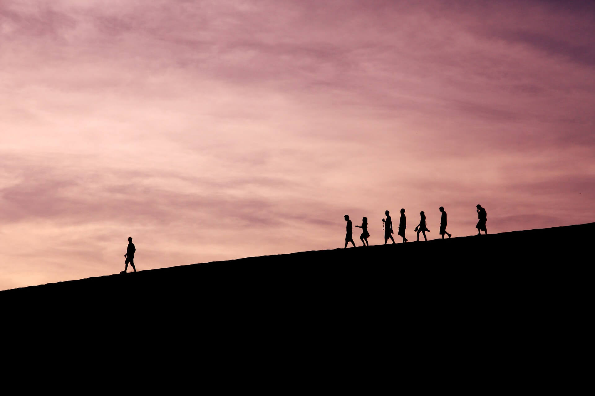 Shepherd Leadership